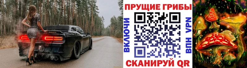 Псилоцибиновые грибы Magic Shrooms Купить Горячий Ключ